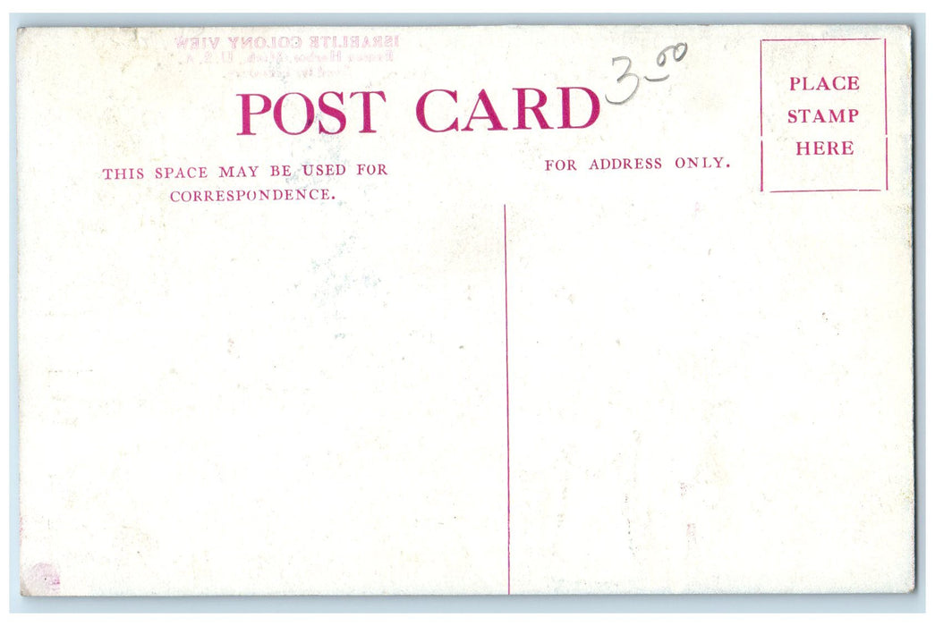 c1950's Israelite Colony Group Of People Grounds View Benton Harbor MI Postcard