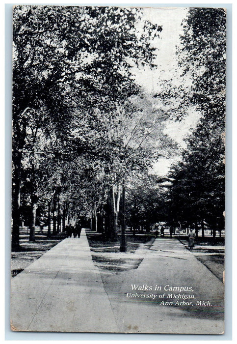 1909 Walks In Campus University Of Michigan Grove Ann Arbor Michigan MI Postcard