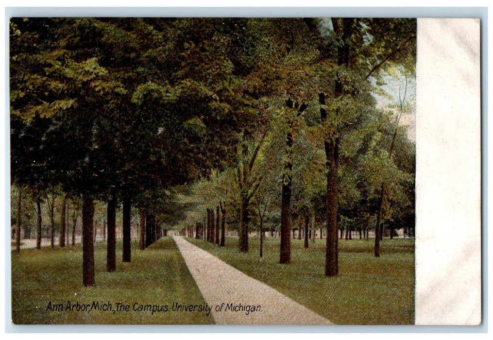 c1905's The Campus University Of Michigan Grove Pathways Ann Arbor MI Postcard