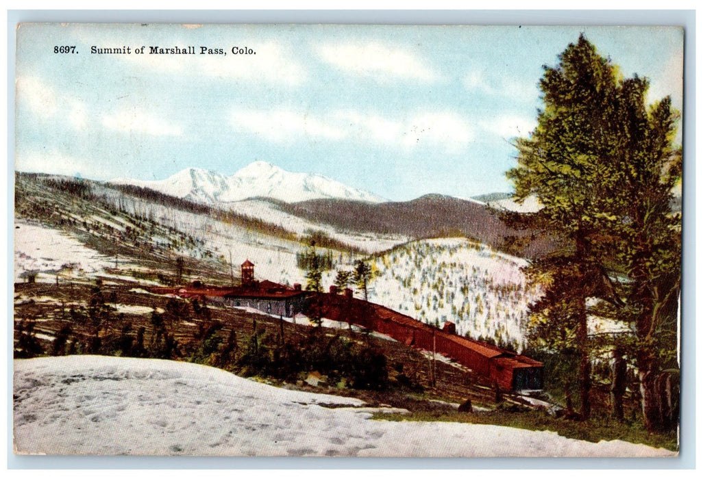 1910 Summit Of Marshall Pass Winter Scene House Grove Snow Colorado CO Postcard