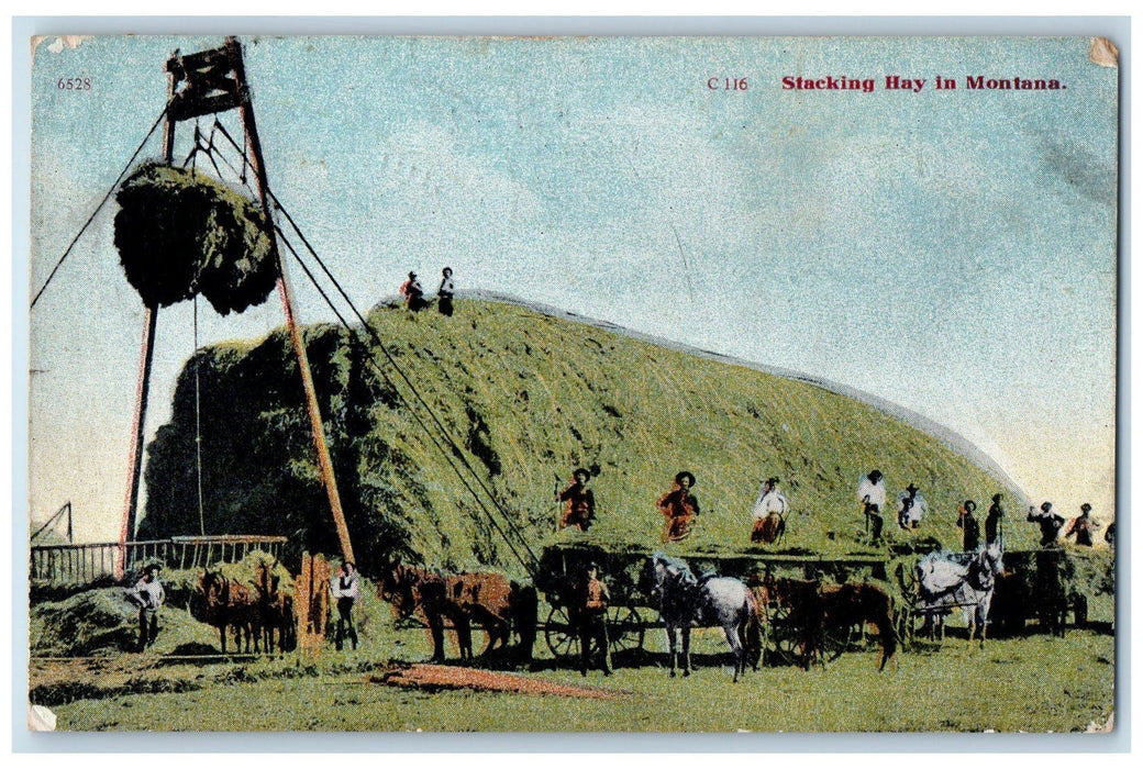 1912 Stacking Hay In Montana Pulley Piling Grass Horse Wagon Workers MO Postcard