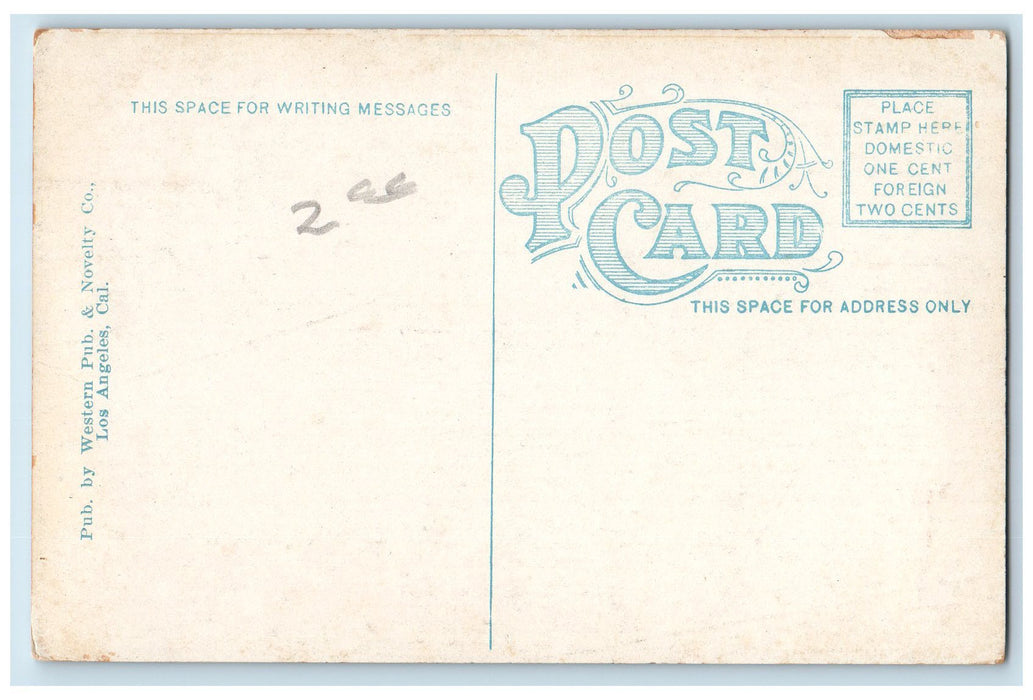 c1910's Daily Scene On The Pier Crowd Ship Flags Venice California CA Postcard