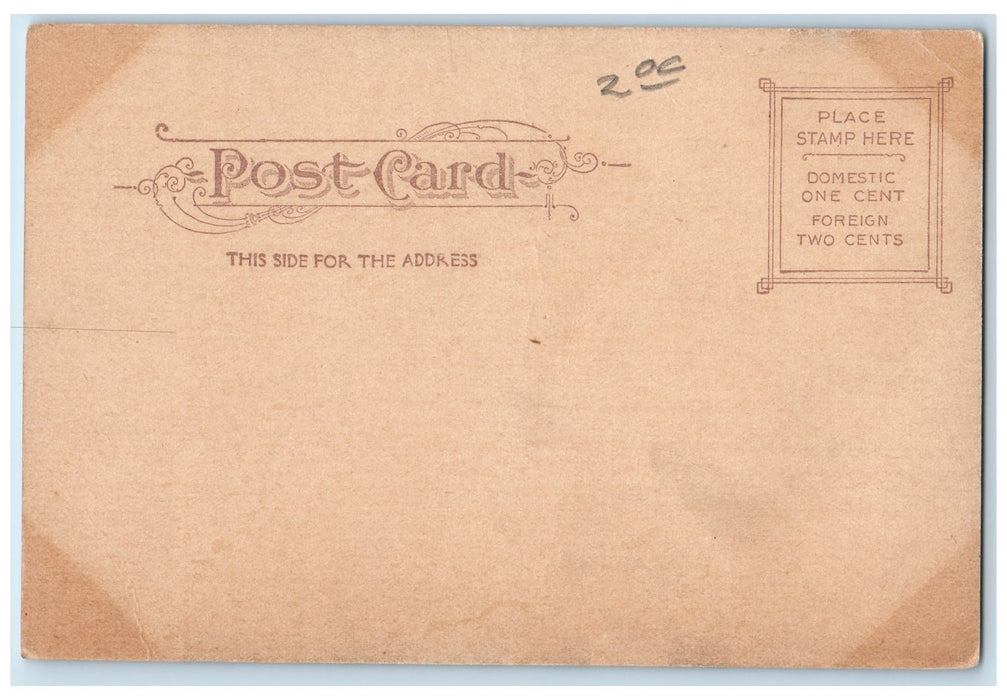 c1905 Grand & Palace Hotels San Francisco Destroyed View California CA Postcard
