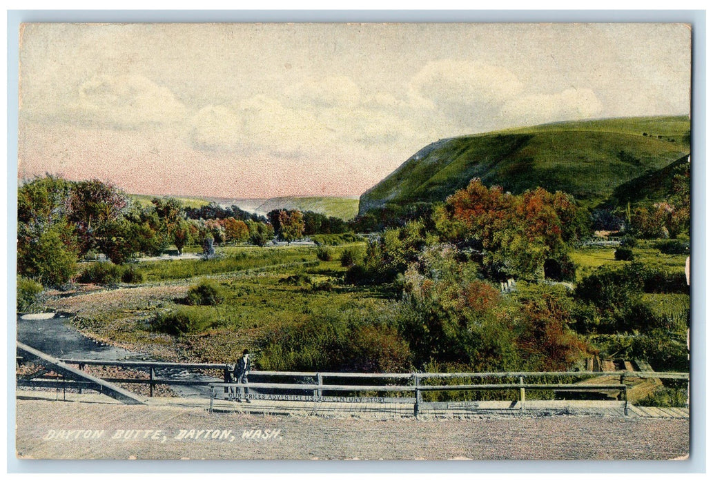 c1950's Dayton Butte Creek Man On Road Side Grove Dayton Washington WA Postcard