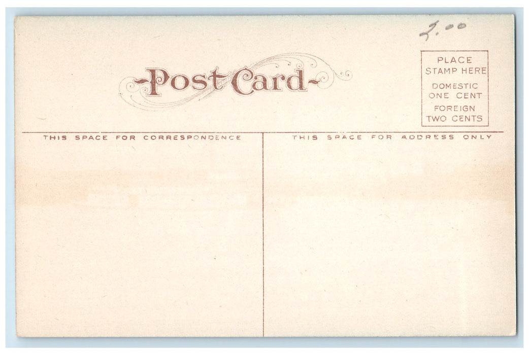c1910s Willamette River And Steel Bridge Albany Oregon OR Unposted Postcard