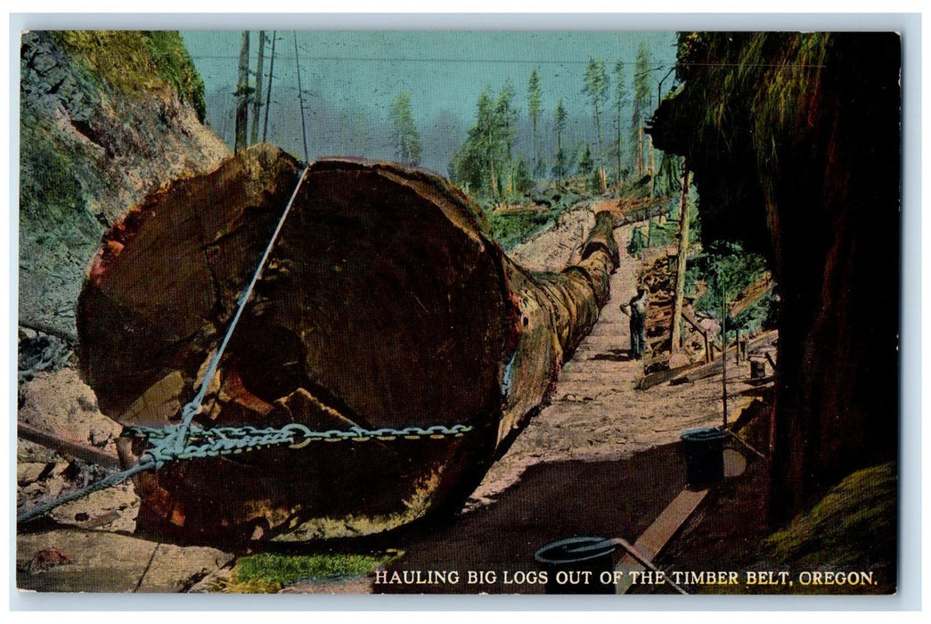 c1950 Hauling Big Logs Out Of The Timber Belt Worker Valley Oregon OR Postcard