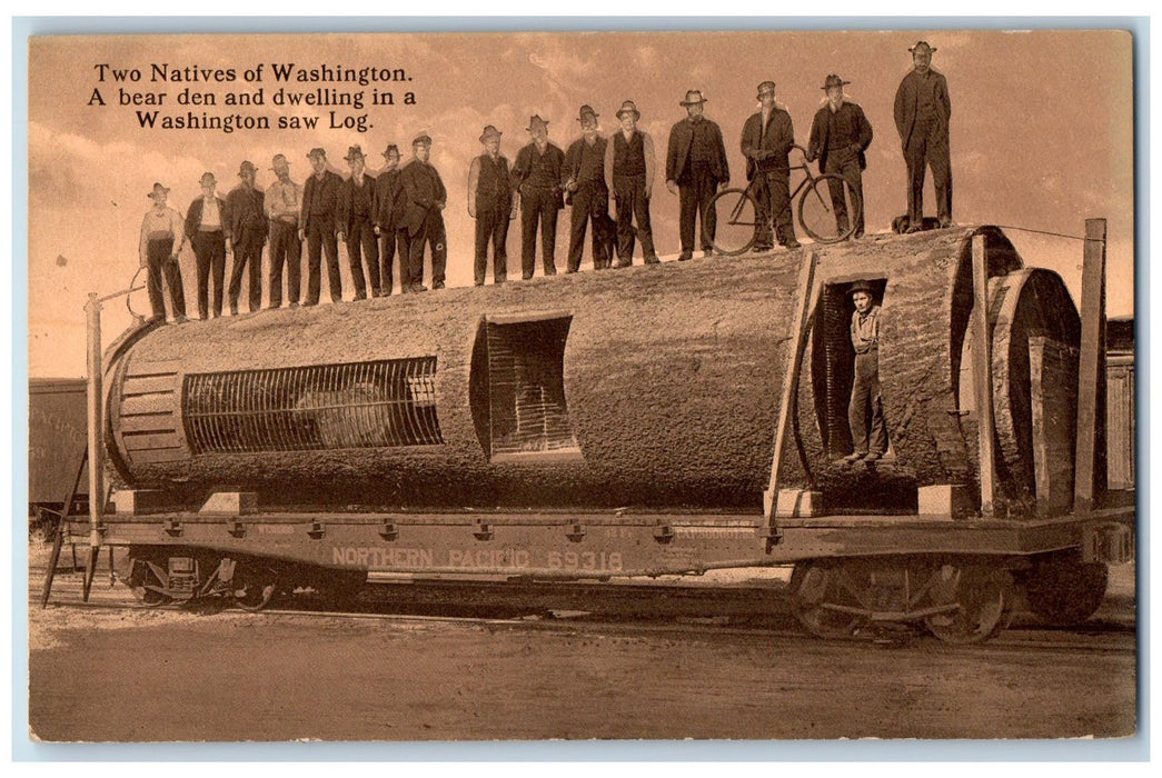 1909 Natives Of Washington Bear Den & Dwelling Saw Log Train Lumber WA Postcard