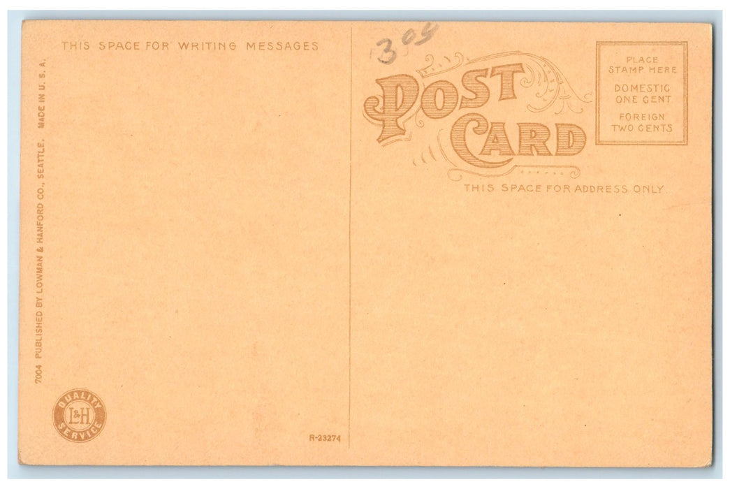 1909 Natives Of Washington Bear Den & Dwelling Saw Log Train Lumber WA Postcard