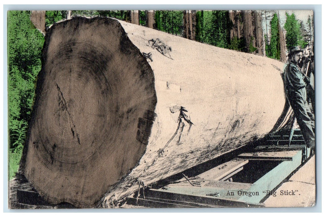 1908 Oregon Big Stick Loggers Log Off Skin Lumber Train Transport OR Postcard