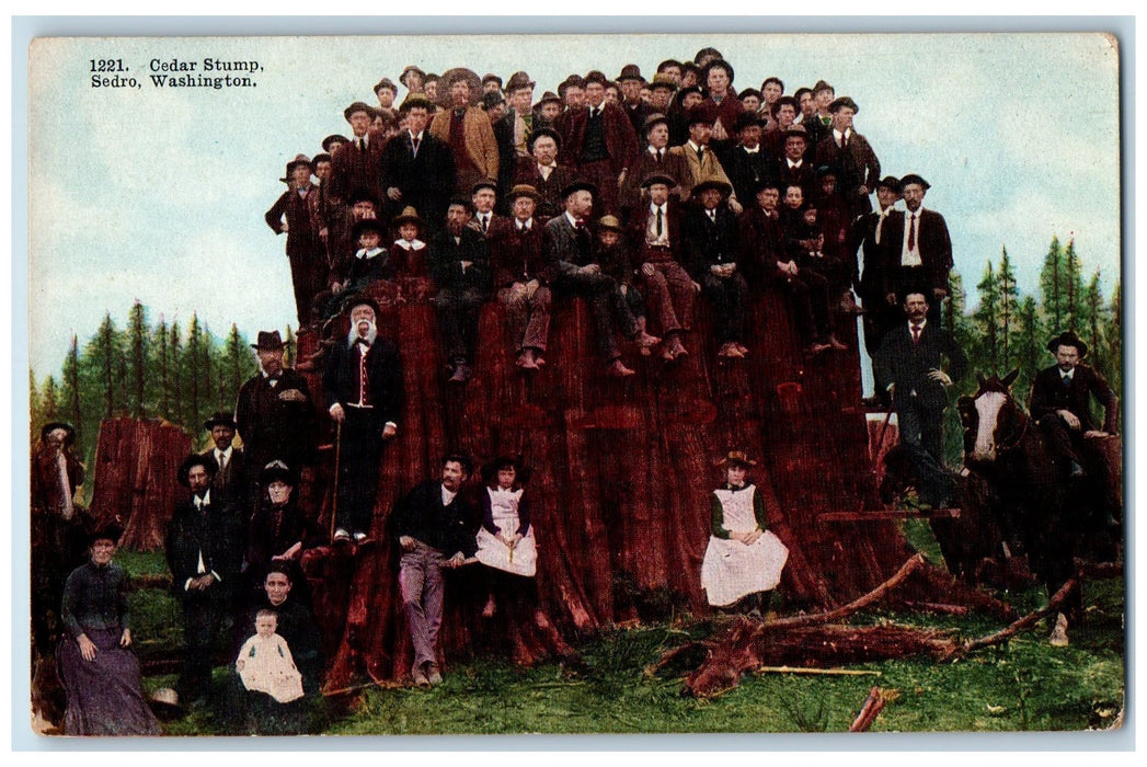 c1950's Huge Cedar Stump Around Family Tourists Sedro Washington WA Postcard