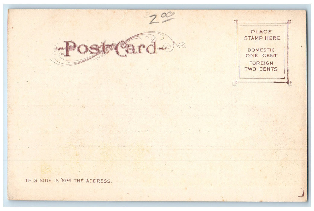 c1905s St. Mary's Academy Exterior Roadside The Dalles Oregon OR Trees Postcard