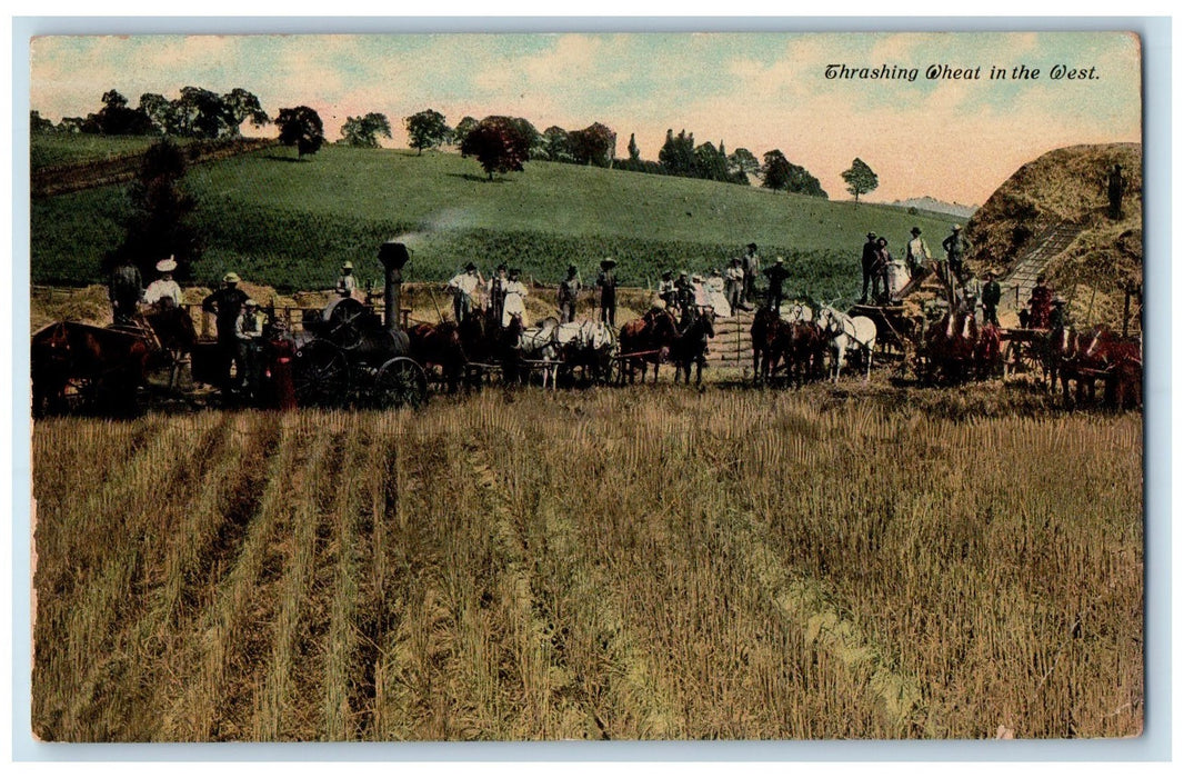 1911 Thrashing Wheat In The West Fields Machinery Wagon Washington WA Postcard