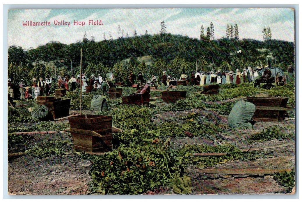 1909 Willemette Valley Hop Field Scene Portland Oregon OR Posted People Postcard