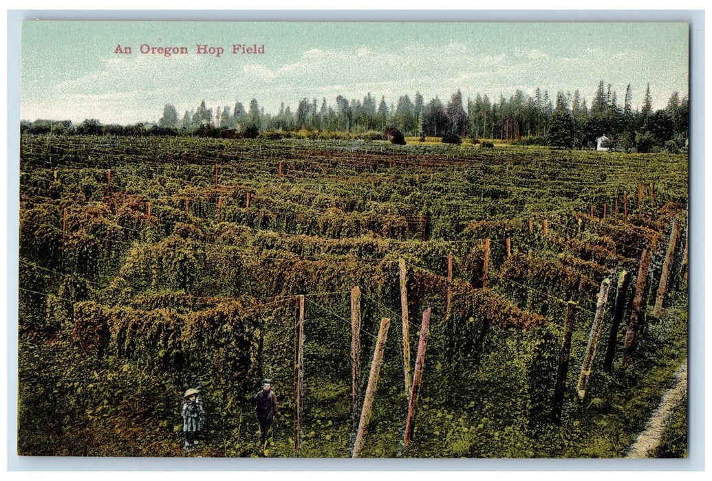 c1910s An Oregon Hop Field Scene Portland Oregon OR Unposted People Postcard