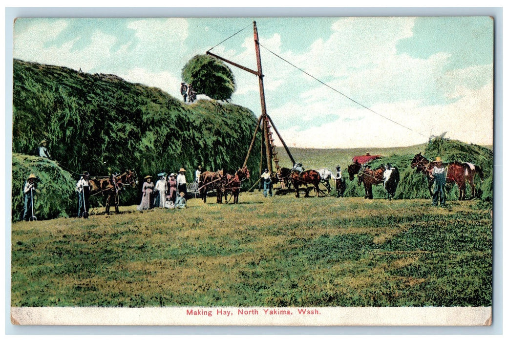 c1920's Making Hay Fields Farm Wagon Horse North Yakima Washington WA Postcard