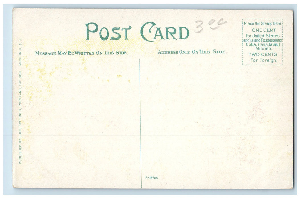 c1920s Scenic Railway Portion Of Council Crest Portland Oregon OR Trees Postcard