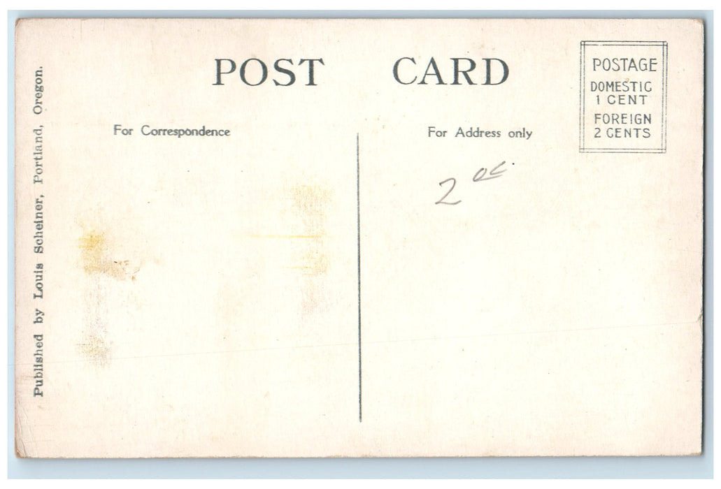 c1910s Bear Pit Washington Park Bear Scene Portland Oregon OR Unposted Postcard