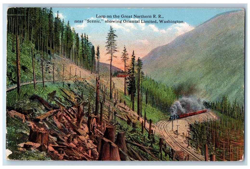 c1910's Loop On Northern Railroad Cut Trees View Scenic Washington WA Postcard