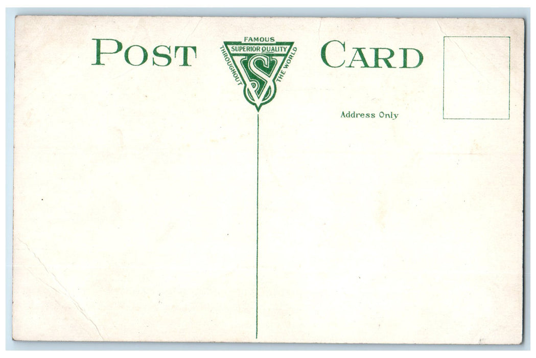 c1910s High School Exterior Roadside Muskegon Michigan MI Unposted Tree Postcard