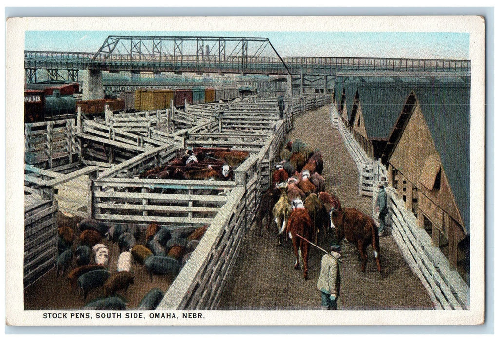 c1920s Stock Pens South Side Pigs Cows Scene Ohama Nebraska NE Unposted Postcard