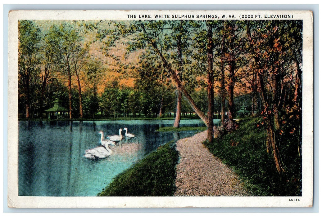 1936 The Lake White Sulphur Springs West Virginia VA Posted Vintage Postcard