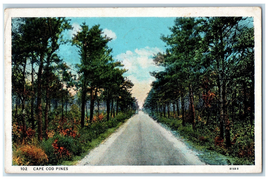 1934 Cape Cod Pines View On Road Across Cape Cod Massachusetts MA Sky Postcard