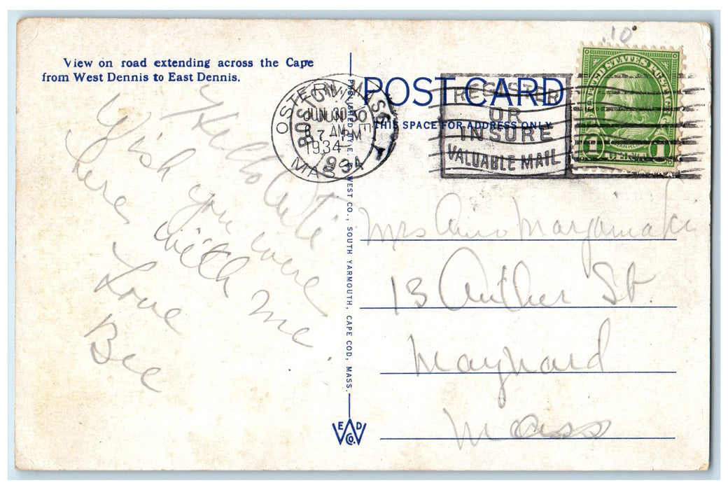1934 Cape Cod Pines View On Road Across Cape Cod Massachusetts MA Sky Postcard