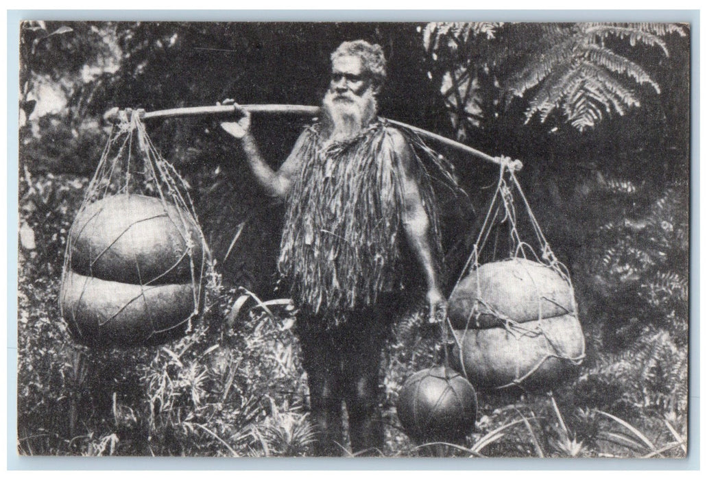 c1960s Calabash Carrier In Hawaiian Fern Forest circa 1920 Hawaii HI Postcard