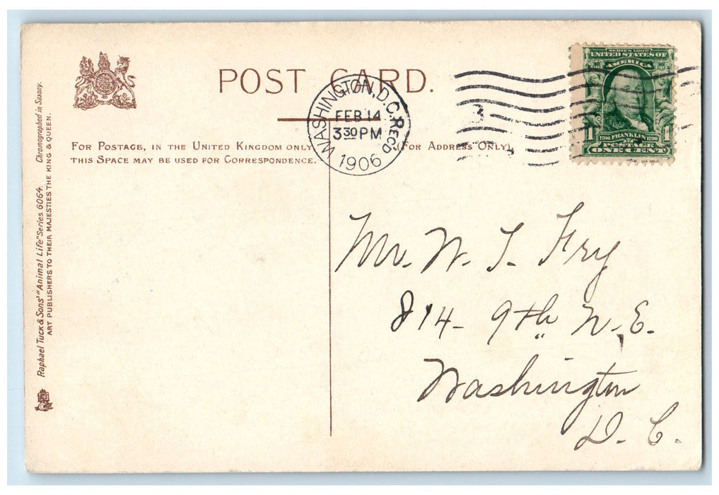 1906 Baby Friends Elephant And Donkey View Washington DC Posted Vintage Postcard