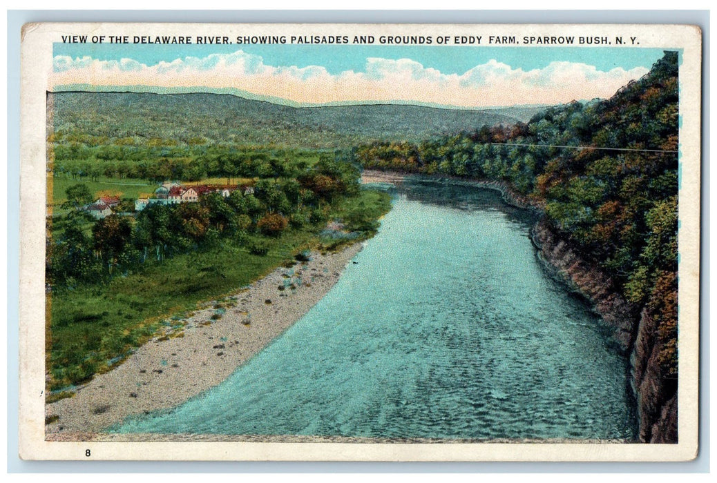 c1920s Delaware River Palisades & Grounds Of Eddy Farm Sparrow Bush NY Postcard