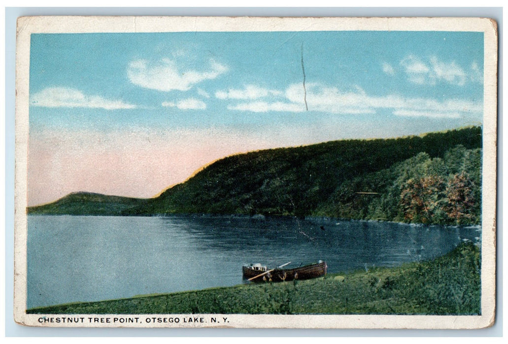 1917 Chestnut Tree Point Canoe Boat Otsego Lake New York NY Posted Postcard