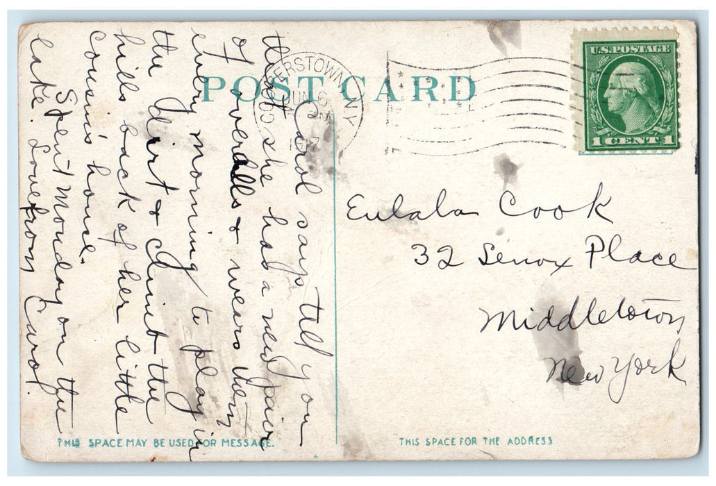 1917 Chestnut Tree Point Canoe Boat Otsego Lake New York NY Posted Postcard