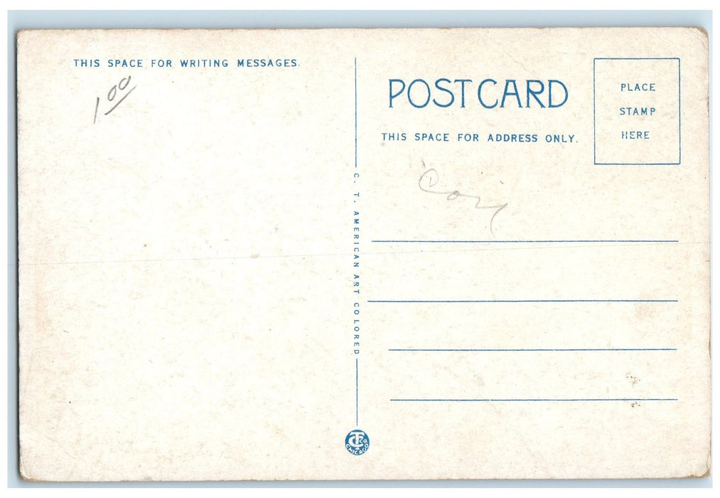 c1920s The New Senior High School Grand Island Nebraska NE Unposted Postcard