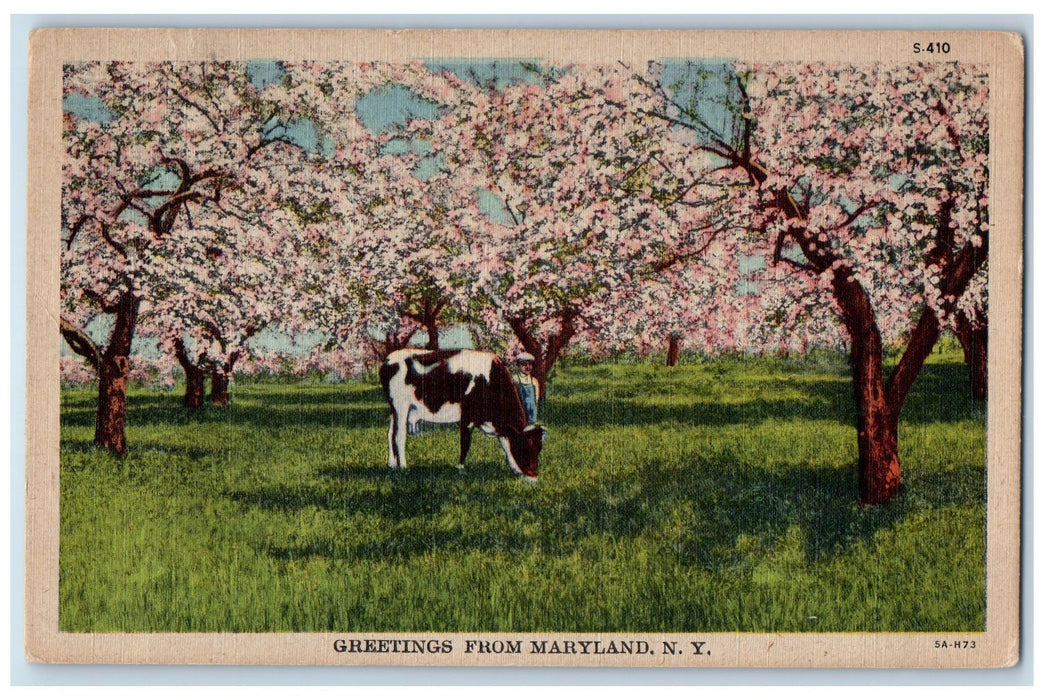 1946 Greetings From Maryland Cow And Boy Scene NY Posted Vintage Postcard