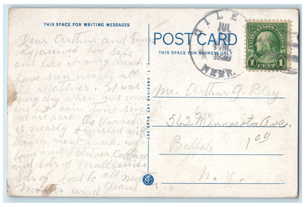 1929 The Jefferson County Court House Fairbury Nebraska NE Posted Trees Postcard