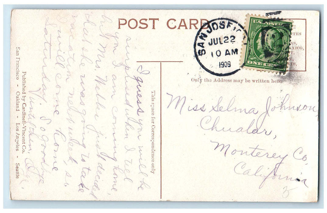 1909 Ranching In California Sheep Pasture San Jose California CA Posted Postcard
