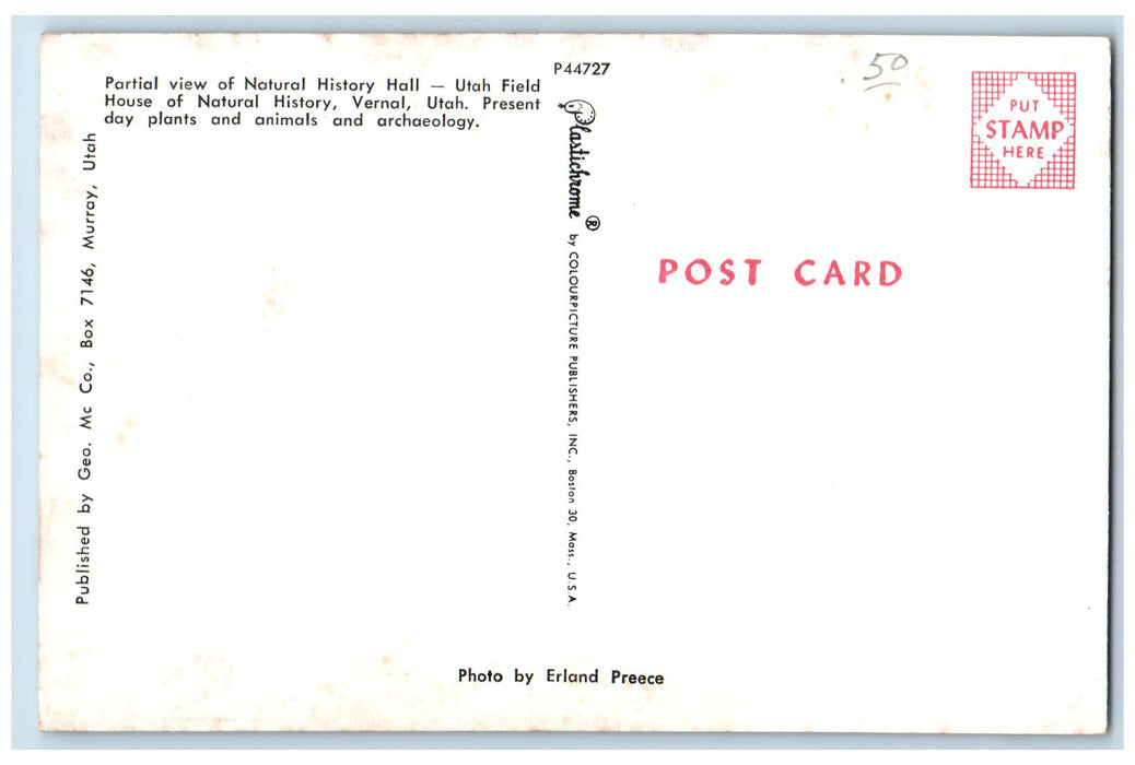 c1950's Partial View Natural History Hall Plants Animals Vernal Utah Postcard
