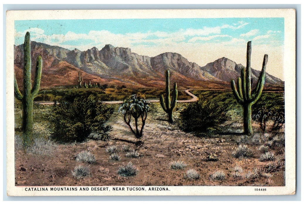 1928 Catalina Mountains And Dessert Scene Near Tucson Arizona AZ Posted Postcard