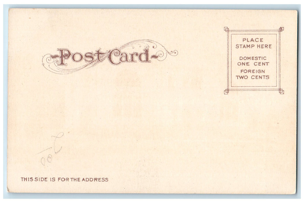 c1905s Free Public Library Roadside Petaluma California CA Unposted Postcard