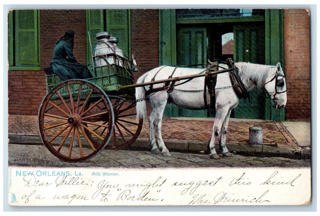 1906 Milk Woman White Horse Wagon On Street New Orleans Louisiana LA Postcard