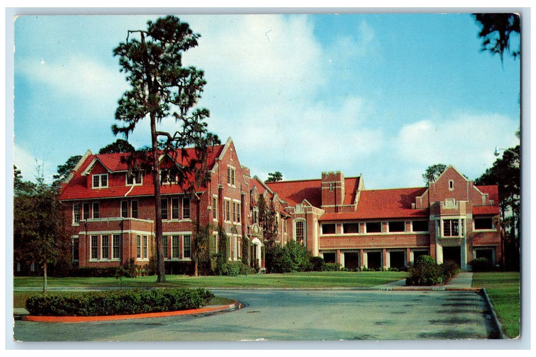 c1960s The University Of Florida Scene Gainesville Florida FL Unposted Postcard