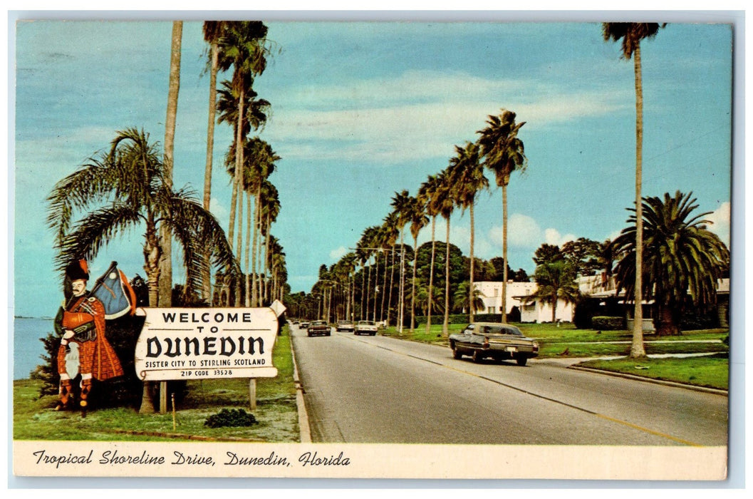 1975 Tropical Shoreline Drive Along The Gulf Of Mexico Dunedin FL Trees Postcard