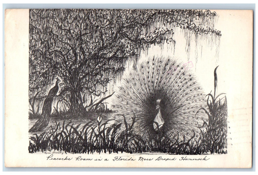 1987 Peacock Room In Florida Moss Droped Hammock Jacksonville FL Sketch Postcard