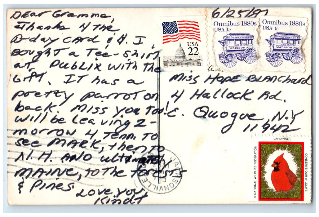 1987 Peacock Room In Florida Moss Droped Hammock Jacksonville FL Sketch Postcard
