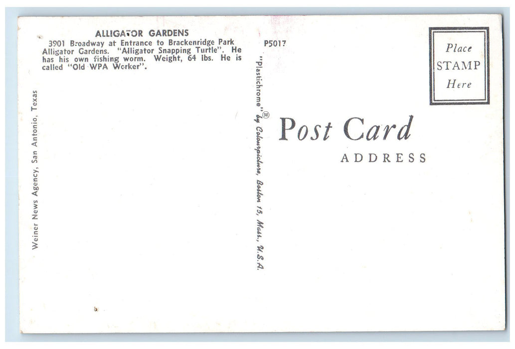 c1960s Alligator Gardens Alligator Snapping Turtle San Antonio Texas TX Postcard