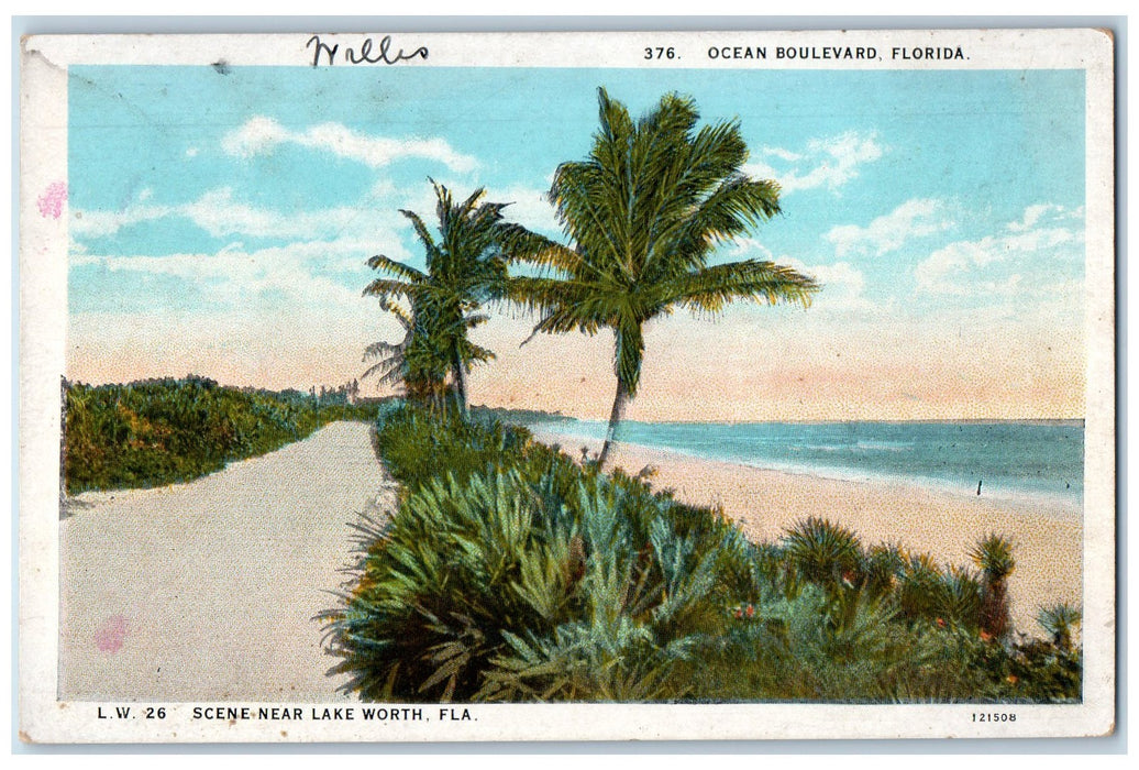 c1920s Ocean Boulevard Scene Near Lake Worth Florida FL Unposted Trees Postcard