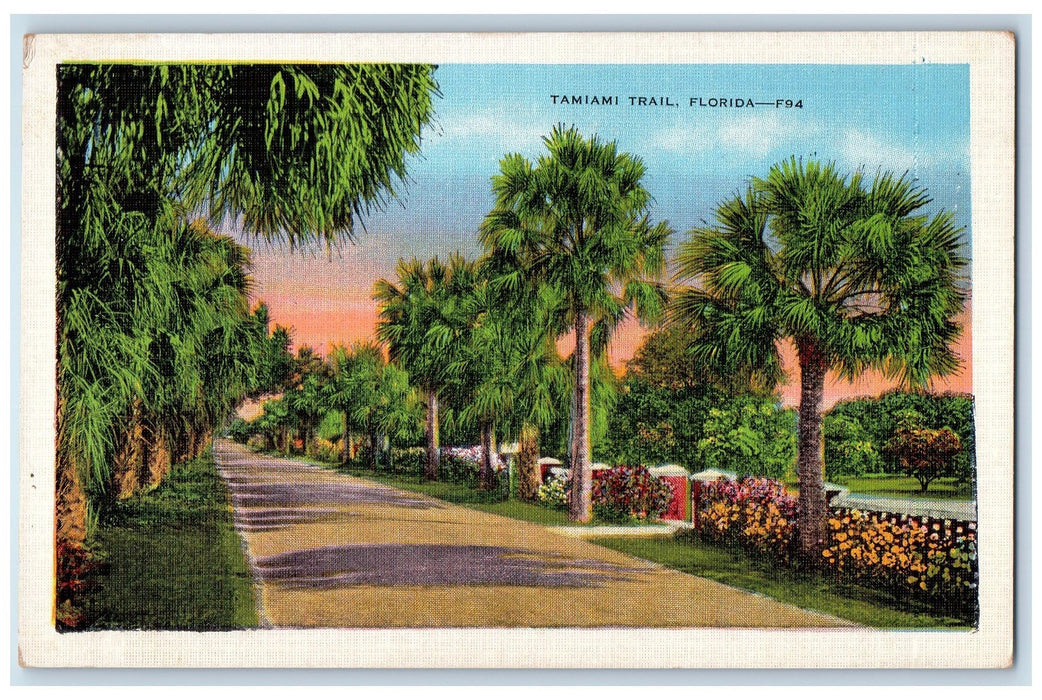 c1940s Tropical Scenery Abounds Along This Highway Tamiami Trail FL Postcard