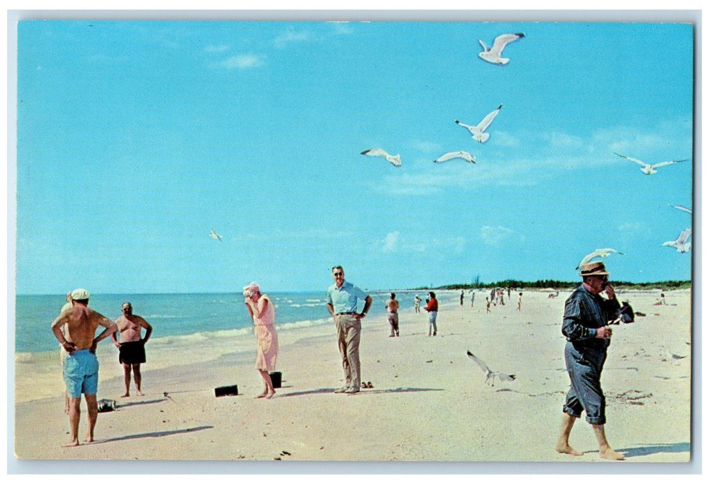 c1960s The Beach At Marco Island People Pigeon View Florida FL Unposted Postcard