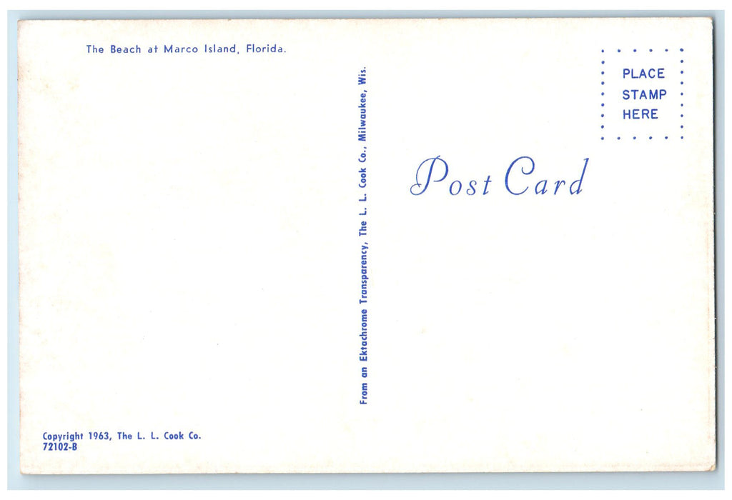 c1960s The Beach At Marco Island People Pigeon View Florida FL Unposted Postcard