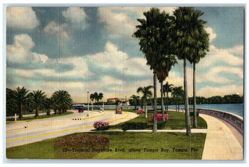 c1940s Tropical Bayshore Blvd. Along Tampa Bay Tampa Florida FL Trees Postcard